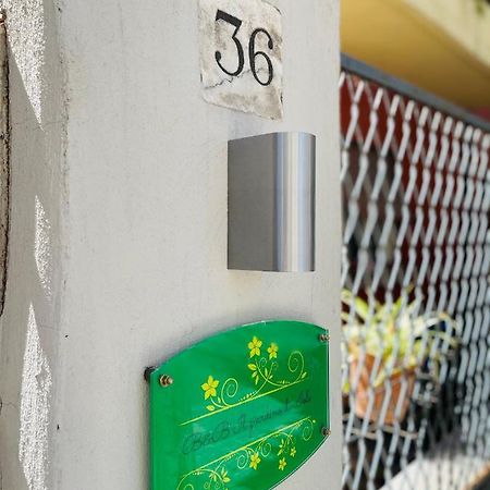 Il Giardino Di Iole Via Giovanni Amendola N36 Bed & Breakfast Sassari Eksteriør bilde