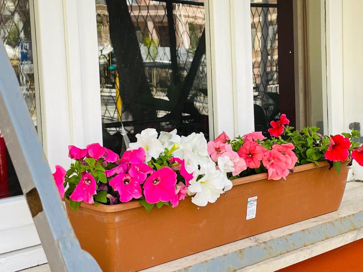 Il Giardino Di Iole Via Giovanni Amendola N36 Bed & Breakfast Sassari Eksteriør bilde