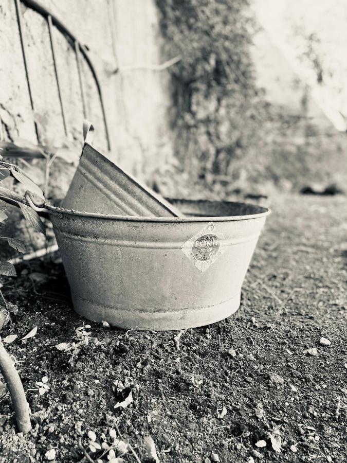 Il Giardino Di Iole Via Giovanni Amendola N36 Bed & Breakfast Sassari Eksteriør bilde