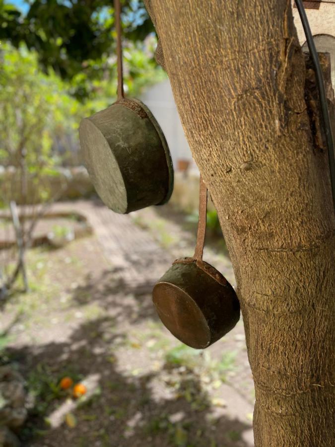 Il Giardino Di Iole Via Giovanni Amendola N36 Bed & Breakfast Sassari Eksteriør bilde