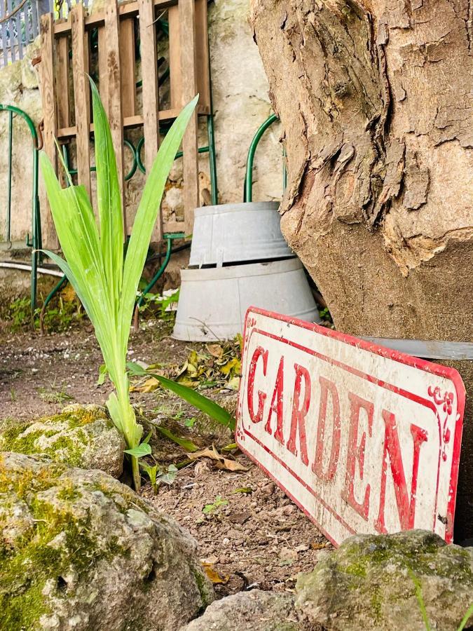 Il Giardino Di Iole Via Giovanni Amendola N36 Bed & Breakfast Sassari Eksteriør bilde