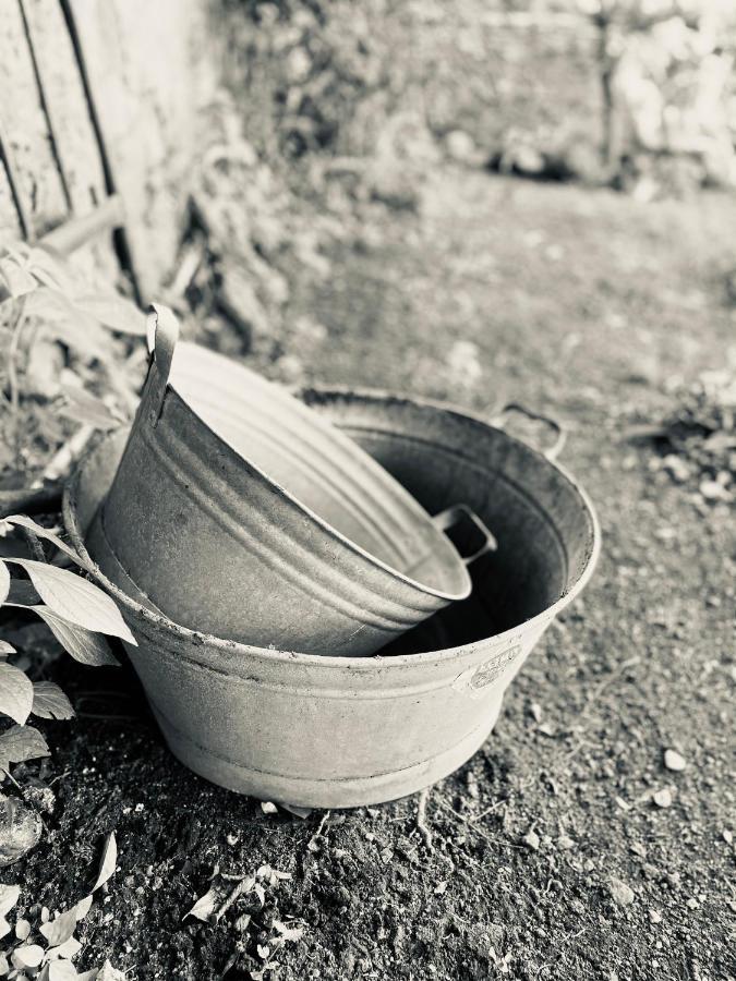 Il Giardino Di Iole Via Giovanni Amendola N36 Bed & Breakfast Sassari Eksteriør bilde